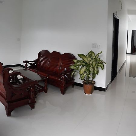 Thao Hieu Homestay Hội An Ngoại thất bức ảnh